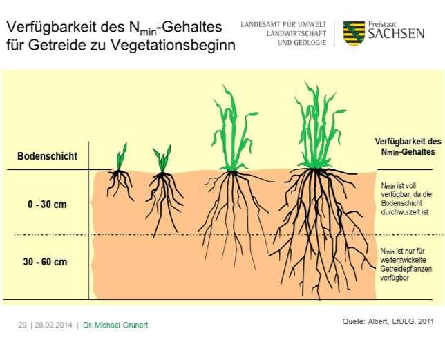 Summe Anrechnung auf N-Teilgaben Vorfrucht einfache Werte differenziertere Werte Pflanzenentwicklung - ja (z. B.