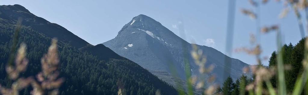 Finanzbericht Muttler Einleitende Bemerkung Mit Freude können wir Ihnen mitteilen, dass die Tourismus Engadin Scuol Samnaun Val Müstair AG ihr erstes Geschäftsjahr mit einem Gewinn von Fr. 1 487.