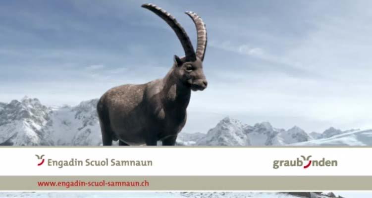 Aktionäre der Destinationsmanagement-Organisation (DMO) Tourismus Engadin Scuol Samnaun Val Müstair AG (TESS- VM), welche seit dem 1.