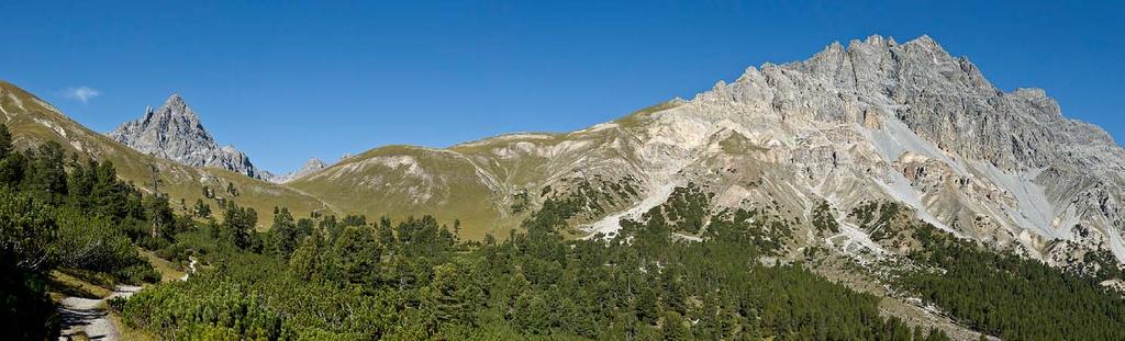 Unterwegs im Schweizerischen Nationalpark, Val Mingèr-Sur il Foss Gemeinsam in die Zukunft Am 1.1.2011 begann ein neues Zeitalter im Tourismus der Nationalparkregion. Die TESSVM arbeitet seit dem 1.1.2011 mit einer Strategie, einer Struktur und einem Budget.