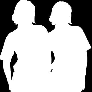 -Nr: M108/24117 (Brutto: 24,90 ) Damen Polo Shirt 1/2 Arm Fashion Style, Polokragen, Rückenpasse, Seitenschlitze, Rückenlänge 58 cm