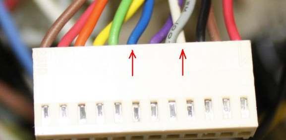 An diesem Stecker befinden sich unter anderem ein blaues und ein weißes Kabel.