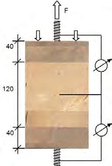 Karlsruher Tage 2012 - Holzbau - Forschung für die Praxis den Durchmessern 16 mm und 20 mm ermittelt. Dazu wurde Brettschichtholz der Holzart Fichte (Picea abies) verwendet.