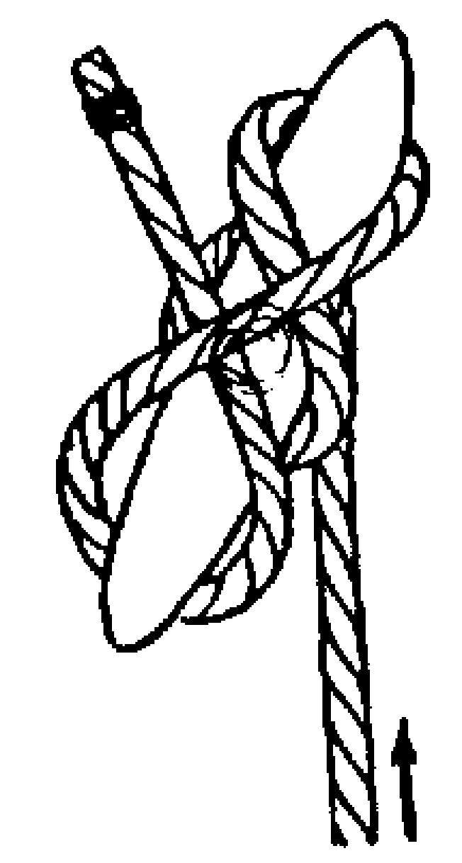 Knoten fü rden Sportbootfü hrerschein Achtknoten: Verhindert, daß die Leine durch einen Block oder eine Leitö se ausrauscht. Kreuzknoten: Zum Verbinden zweier gleichstarker Enden.