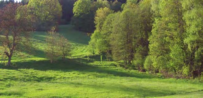 Grünland / einzelflächenbezogene Maßnahmen Agrarökologische Grünlandnutzung geleistet, agrarökologische Verbund systeme zu schaffen.