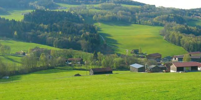 Bedeutung der Grünlandwirtschaft in Bayern Die Grünlandnutzung spielt in Bayern eine wichtige Rolle.