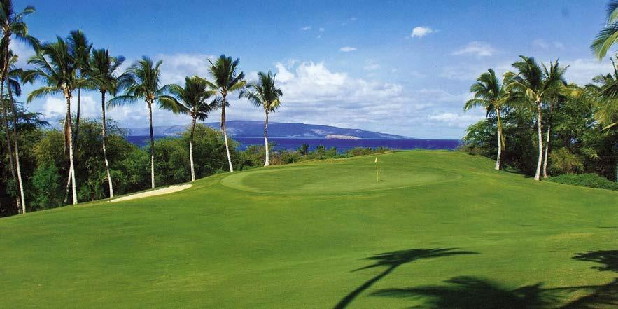 Die teppichartigen Fairways, das duftende Grün der Vegetation und die Vielzahl an schönen Aussichten vereinen so ziemlich alles, was eine gute Golfrunde auf Maui ausmacht.