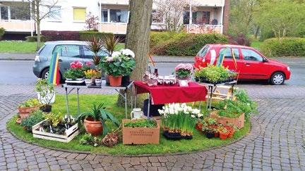 Blumenzwiebeln Gartenprodukte: Gemüse, Obst Honig Marmelade