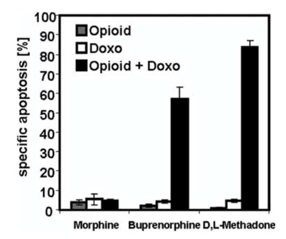 Methadon verstärkt die Wirkung von Chemotherapeutika im Zellexperiment Opioid Dosis 10 µg/ml = subtoxische Dosis Nachweis einer starken Opioid-Rezeptor Expression auf Gliom-Zellen Einsatz einer