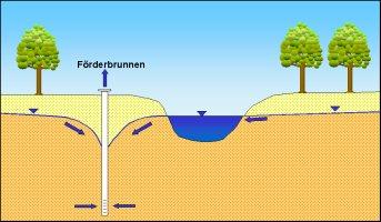 4c: Uferfiltration infolge von Grundwasserförderung: Durch die Grundwasserabsenkung des Förderbrunnens infiltriert Oberflächenwasser in das Grundwasser Die Grundwasserfließgeschwindigkeit beträgt in