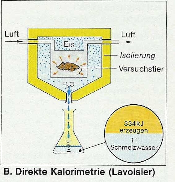 Bestimmung des Energiebedarfs Physikalische Verfahren Bioimpedanz, Neutronenaktivierung, Isotopenverdünnnung Direkte Kalorimetrie Indirekte