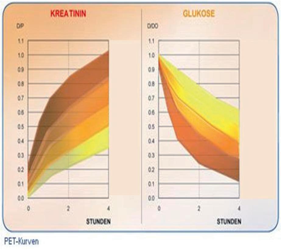 Abbildung 7: Unterschiedliche Transportraten für Kreatinin und Glukose (modifiziert nach "Verfahren der PD", Baxter) Die klinischen Konsequenzen sind dabei, dass insbesondere die Dialysatverweilzeit