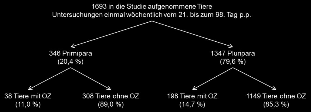 Vier Tiere mit frühen Ovarialzysten von insges. 236 Tieren mit Ovarialzysten (1,69 %) entwickelten jeweils ein Rezidiv.