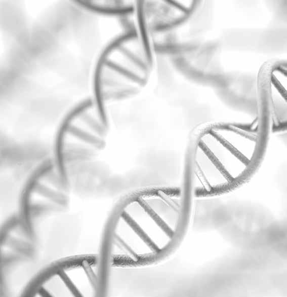 WAS IST DUCHENNE-MUSKELDYSTROPHIE (DMD)? DMD ist eine schwere und lebensbedrohende genetische Erkrankung. Sie betrifft vorwiegend Jungen (X-chromosomale Vererbung) und ist selten: 1 von 3.600 bis 6.