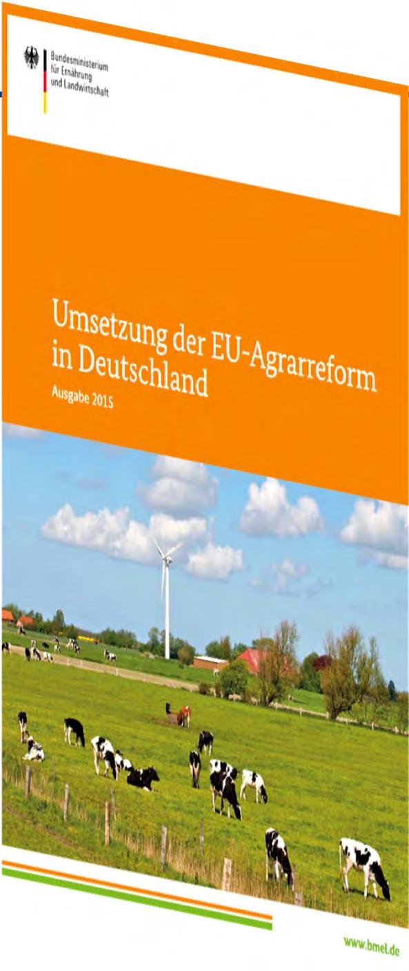 Instrumente - EU Greening: