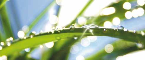 ph-wert der Spritzbrühe und stabilisiert diesen bei etwa 6 ISOTAC erhöht die Lebensdauer und die Leistung der Pflanzenschutzmittel-Wirkstoffe ISOTAC neutralisiert die in hartem Wasser gelösten