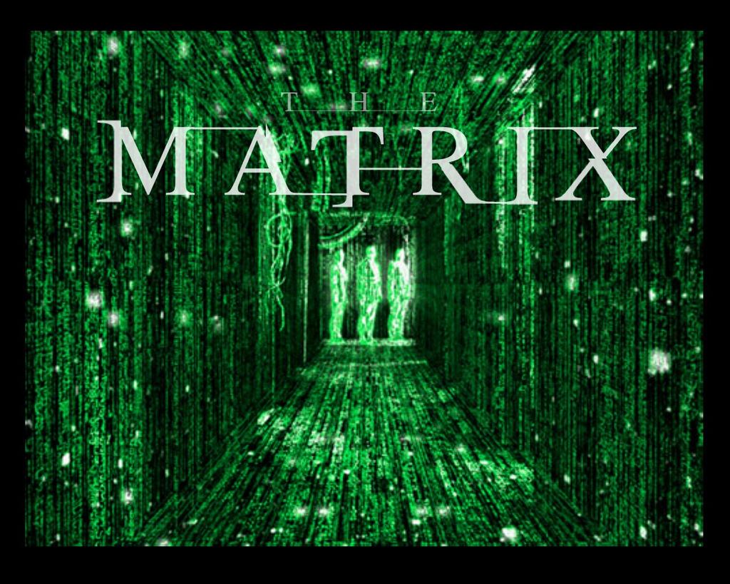 Bei der Zuchtwertschätzung werden umfangreiche Gleichungssysteme mit der Matrix Algebra gelöst!