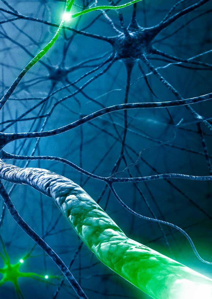 14 Netze, die Energie mit Intelligenz verbinden. Nervennetze sind eine faszinierende Inspirationsquelle.