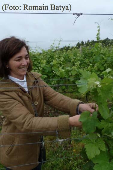 Paula Pivel: We planted the first vines in the spring of 2001, continuing in the following two years until we reached 8 hectares.