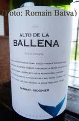 Die extraktreiche und dennoch mineralisch-frische Vermählung aus Tannat und Viognier 2009, ein Spitzenwein für den Horesca-Bereich, war wohl die erstaunlichste Cuvée von Alto de la Ballena, das eher