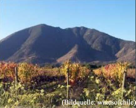 Valle Maule (Maule Valley) Das mit fast 34.000 Hektar Rebfläche größte Weinbaugebiet Chiles setzt sich aus drei unterschiedlichen bereichen zusammen.
