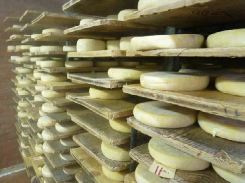 Es gibt Reblochon und Reblochon Fermier. Letzterem gilt in diesem Beitrag das Augenmerk. Von dem handwerklich erzeugten Käse werden jährlich nur 2.400 Tonnen produziert.