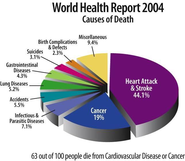 Todesursachen in der Welt World Health Report Causes of