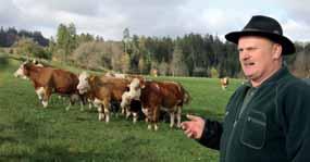 Am Rande der Vogesen und in den hügeligen Grünlandregionen Lothringens dominiert dagegen die Rinderhaltung.