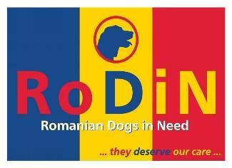 Satzung 1 Name und Sitz des Vereins, Geschäftsjahr (1) Der Verein führt den Namen RoDiN - Romanian Dogs in Need. (2) Er soll in das Vereinsregister eingetragen werden und führt danach den Zusatz e.v.