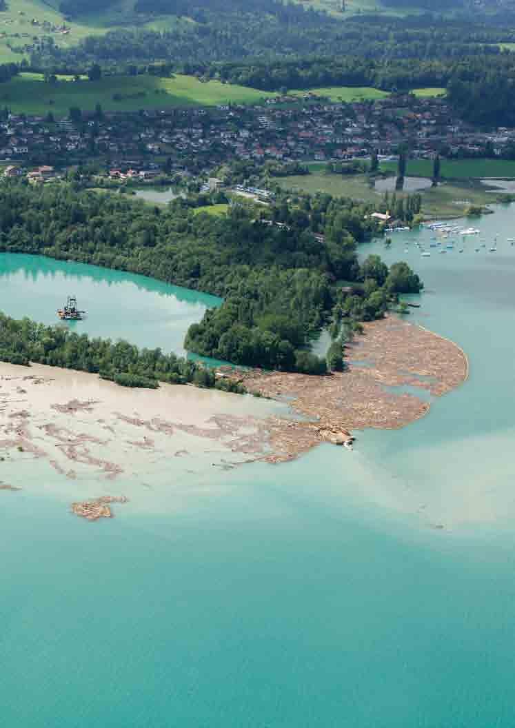 Während der verheerenden Hochwasser vom August 2005 sind grosse Holzmengen mobilisiert und über weite Strecken transportiert worden, zum Beispiel durch die Kander in den Thunersee (Foto).