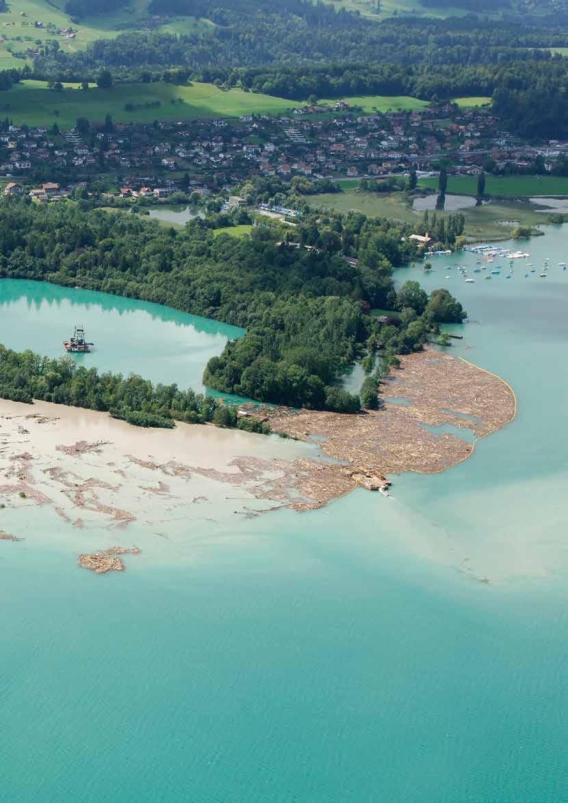 Während der verheerenden hochwasser vom August 2005 sind grosse holzmengen mobi - lisiert und über weite Strecken transportiert worden, zum Beispiel durch die Kander in den Thunersee (Foto).