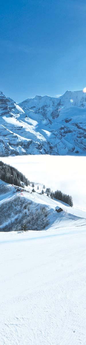 TOP EVENTS TOP EVENTS JANUAR JANUARY» INT. LAUBERHORNRENNEN 12. 14. Ski World Cup www.lauberhorn.ch» 75. INT. INFERNO RENNEN MÜRREN 17. 20.