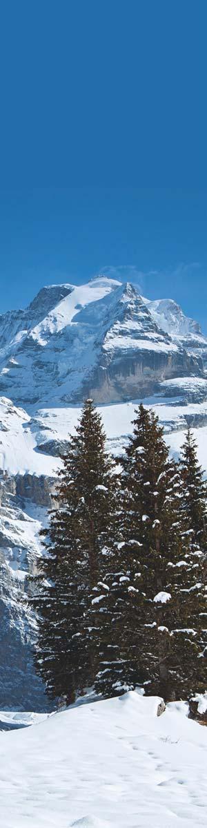 WINTERSPORT SNOW SPORTS VIELSEITIGES WINTERPARADIES In der Jungfrau Region kommen nicht nur Skifahrer und Snowboarder auf ihre Kosten: Rund 100 km Winterwanderwege ermöglichen es Nichtskifahrern, die