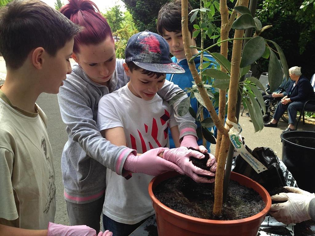 Im Pflegeheim Am Park in Erfurt-Vieselbach haben sechs Schülerinnen und Schüler aus der Regelschule in Kerspleben Balkonkästen im ganzen Haus neu bepflanzt, alle großen und kleinen Topfpflanzen