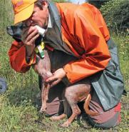 Erste Hilfe beim Jagdhund Die wichtigsten