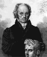Gall (1758-1828) Zusammenhang zwischen Schädelform und Charakter Wenn ein Organ besonders