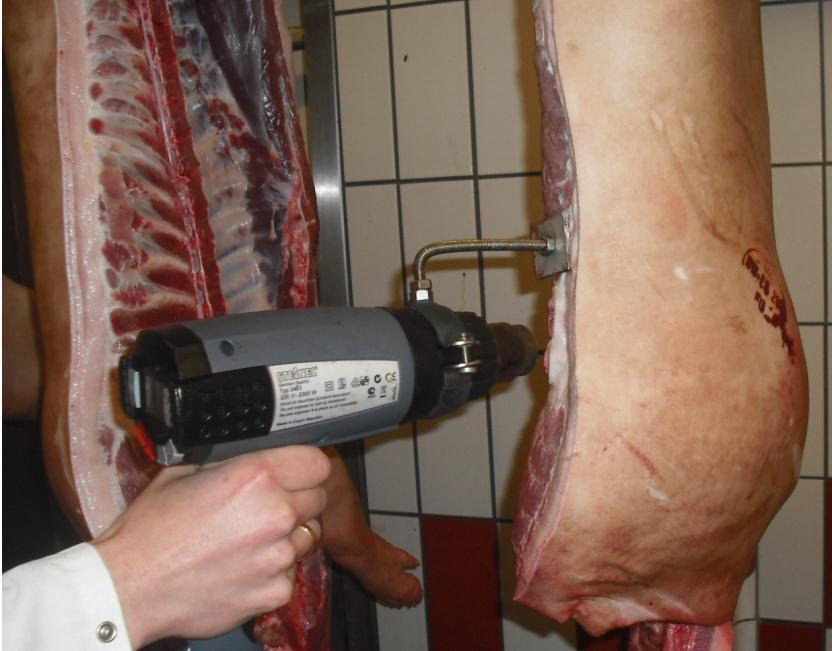 3-stufige Geruchsdetektion in der Schlachtung 1. Stufe SGS-Arbeitsplatz FOM-Klassifizierung/ Salmonellenmonitoring - Erfassung des Geruchsmerkmals 2.