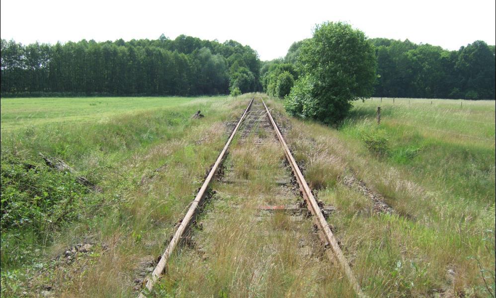 Daseinsvorsorge im ländlichen Raum: Chancen durch die Bahn