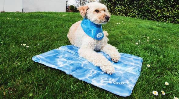 Für 100 % Badespaß WOLTERS Hundematte Dirty Dog Doormat Maße: 78 x 50 cm (L x B) extrem weiche