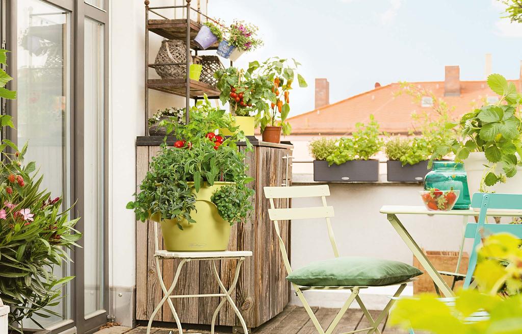 TRENDS Immer grün, gesund und üppig: Mit dem intelligenten Bewässerungssystem von LECHUZA gelingt das Urban Gardening garantiert!