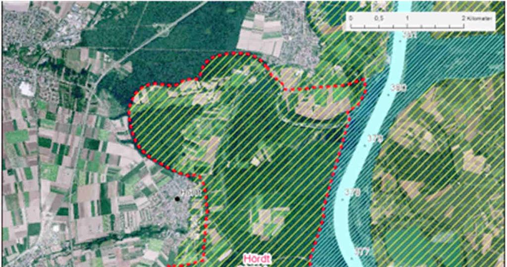 Oberrhein Potenziale für Auenentwicklung