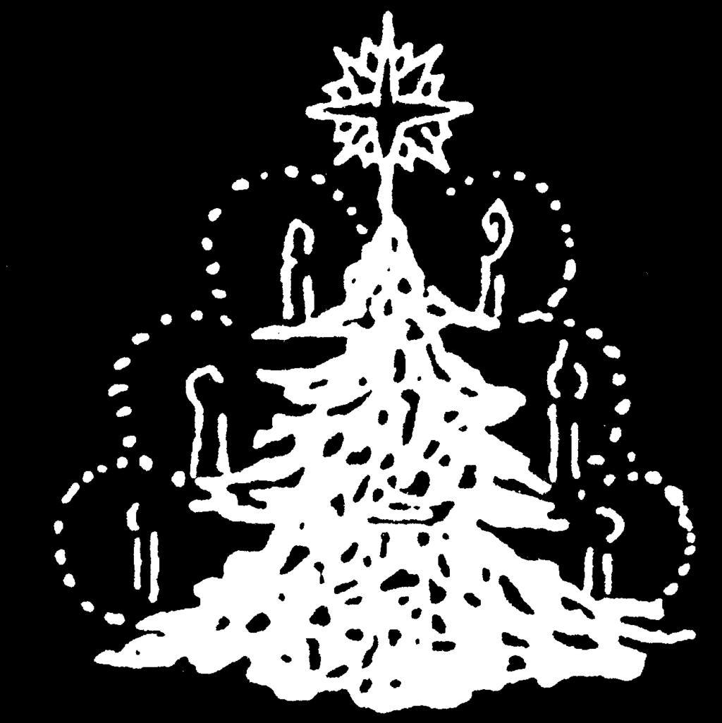 In Mitteleuropa wird hauptsächlich die Nordmanntanne als Christbaum verwendet. Ihre Beliebtheit hat einen ganz einfachen Grund: die Nadeln pieksen nicht.