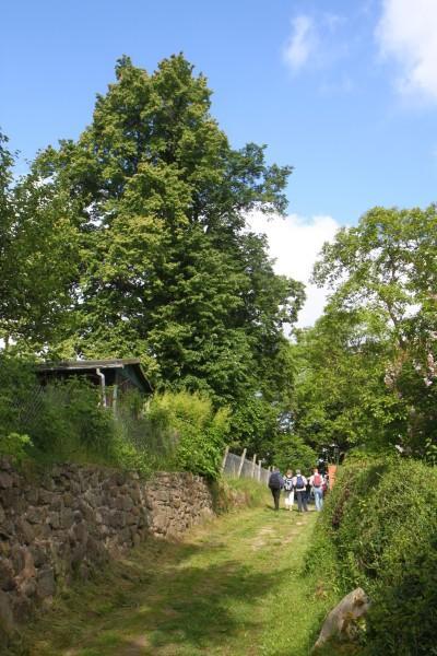 Rechter Hand liegt der Friedhof mit einem davor angelegten Ehrenhain.