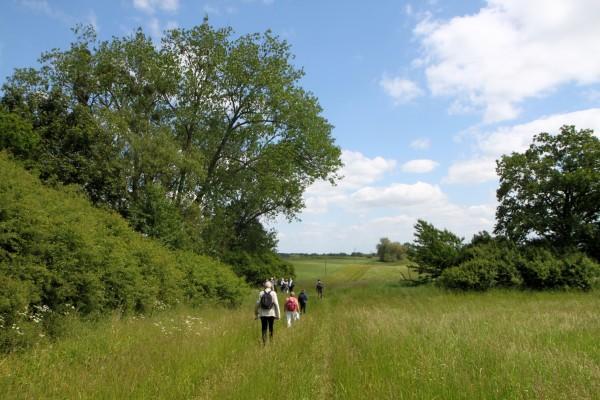 An einem großen Baum erreichen wir dann den Abzweig nach Ottenhagen.