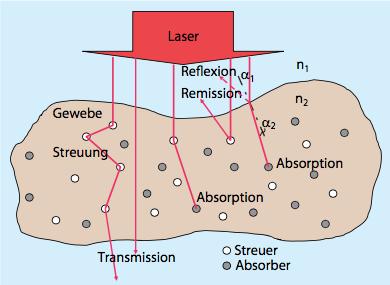 1.3.6 Optische Eigenschaften der Haut In der dermatologischen Laseranwendung spielen folgende optische Eigenschaften der Haut bei Bestrahlung eine Rolle: Reflexion, Streuung und Absorption.