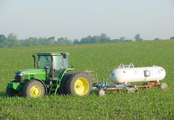 (1) Überdüngung Zielwert: 80 kg N/ha Realität: 100 kg N/ha Öko-Effizienz (output/input) sank beträchtlich (liegt bei 40%): 1960-1990: Getreideertrag verdoppelt, N-Einsatz versiebenfacht