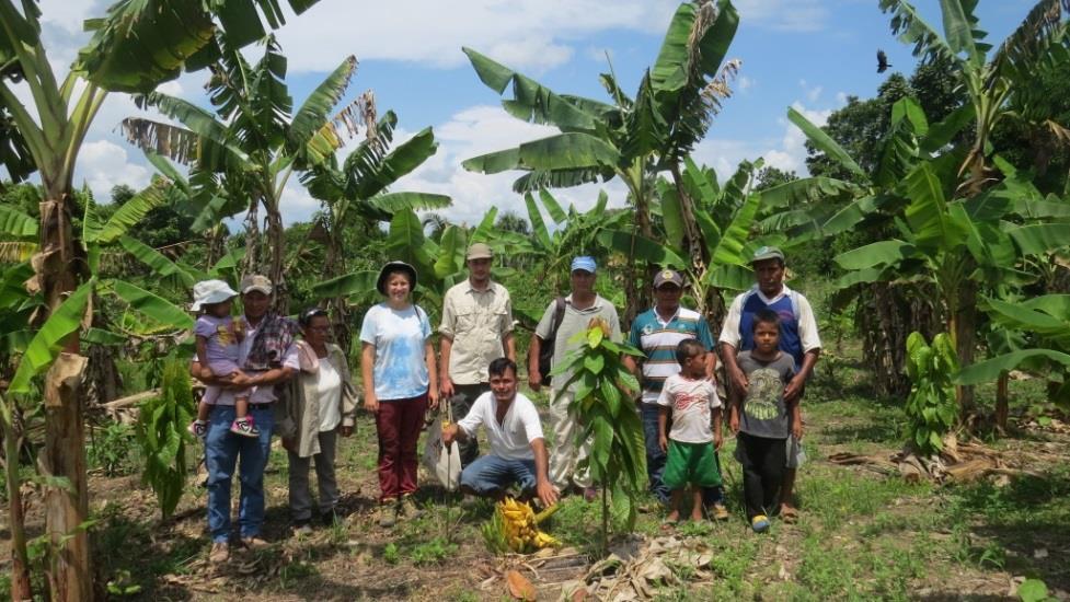 Projekt Cero Deforestación (übersetzt: Null Abholzung) Das Projekt CD findet in der Region Pucallpa in den Dörfern Panaillo und Zaportillo statt.