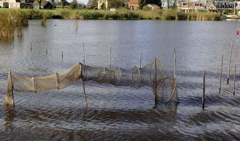 Deutschland ist das Land der Fischprodukte und bietet eines der größten Sor timente an industriell gefertigten Fischspezialitäten.