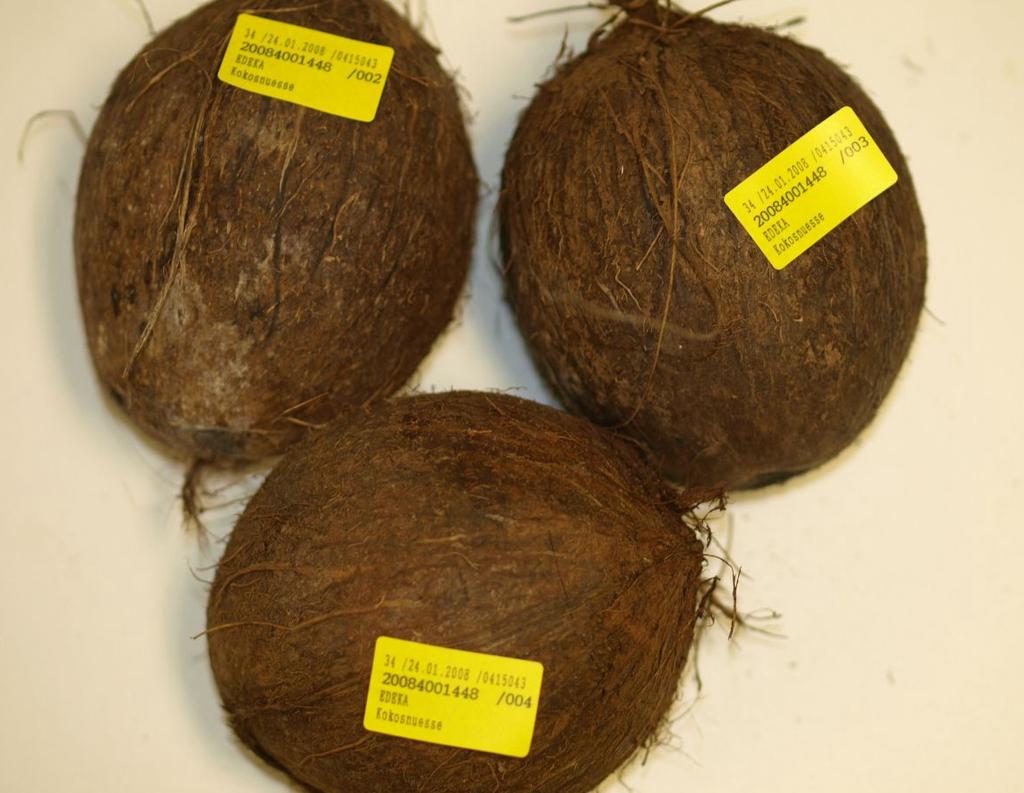Die Abbildung zeigt rechts die Kokosmilch einer gesunden, links einer verdorbenen Kokosnuss (Foto: Thielert) Einfache Möglichkeiten zur Verminderung des Risikos für den Verbraucher sind die