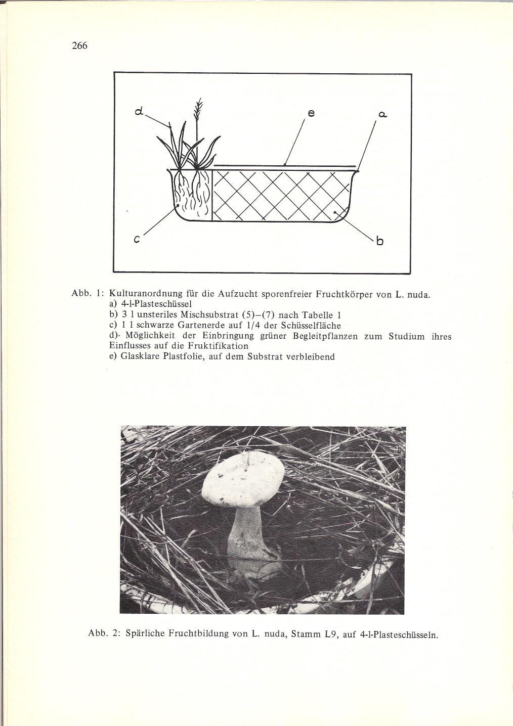 .. 266 ci Q. c Abb. : Kulturanordnung für die Aufzucht sporenfreier Fruchtkörper von 1. nuda.